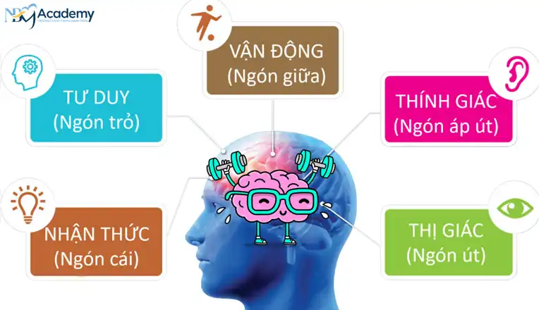 Sinh trắc vân tay