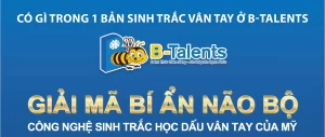 CÓ GÌ TRONG 1 BẢN SINH TRẮC VÂN TAY Ở B-TALENTS